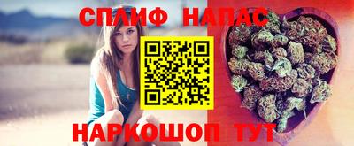 сатива Коломна