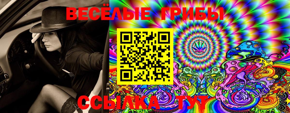 Галлюциногенные грибы Psilocybine cubensis  Вход с VPN  Малоярославец  Псилоцибиновые грибы GOLDEN TEACHER 
